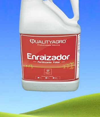 Enraizador